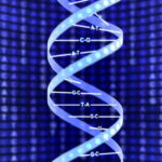 Digital art of a DNA double helix structure with labeled G, C, A, and T bases over a blue background